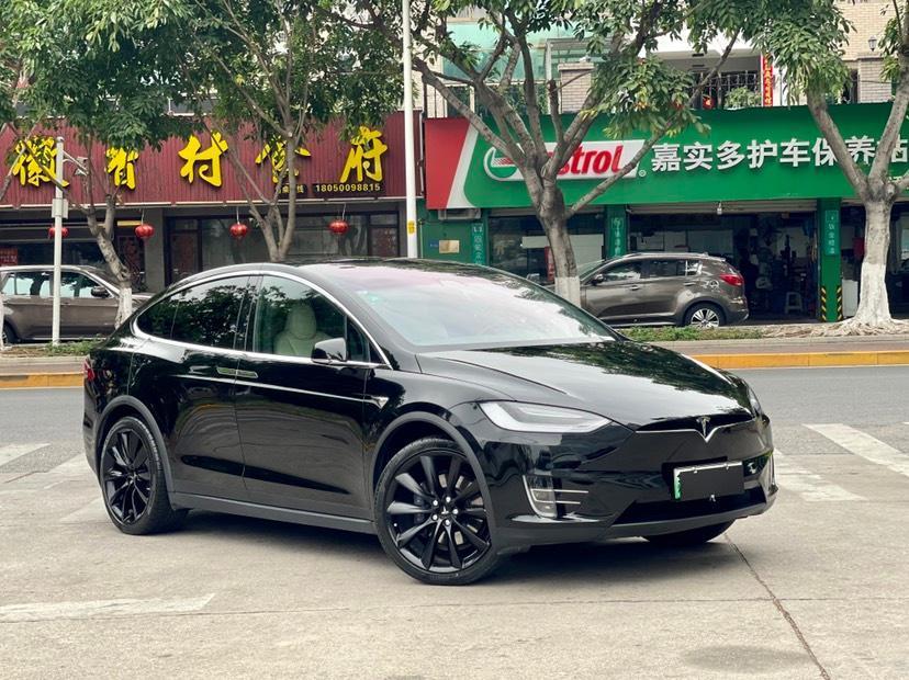 特斯拉 model x 2020款 长续航升级版图片