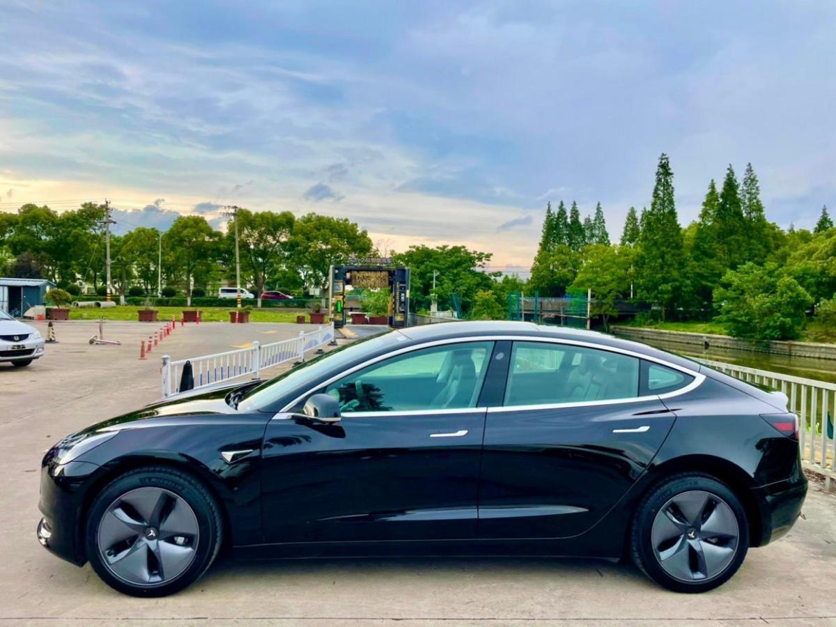 特斯拉 model 3 2019款 标准续航后驱升级版图片