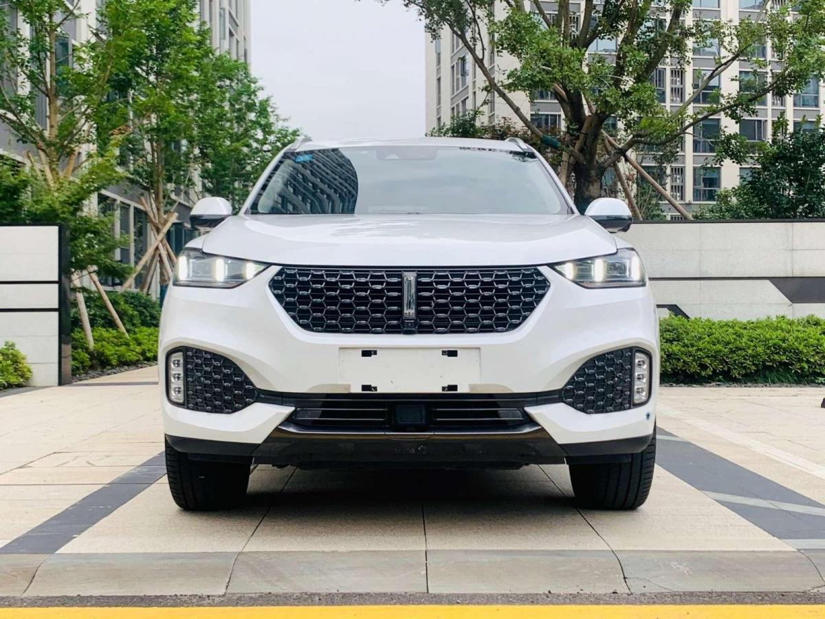 wey vv6 2021款 2.0t 两驱智悦 图片