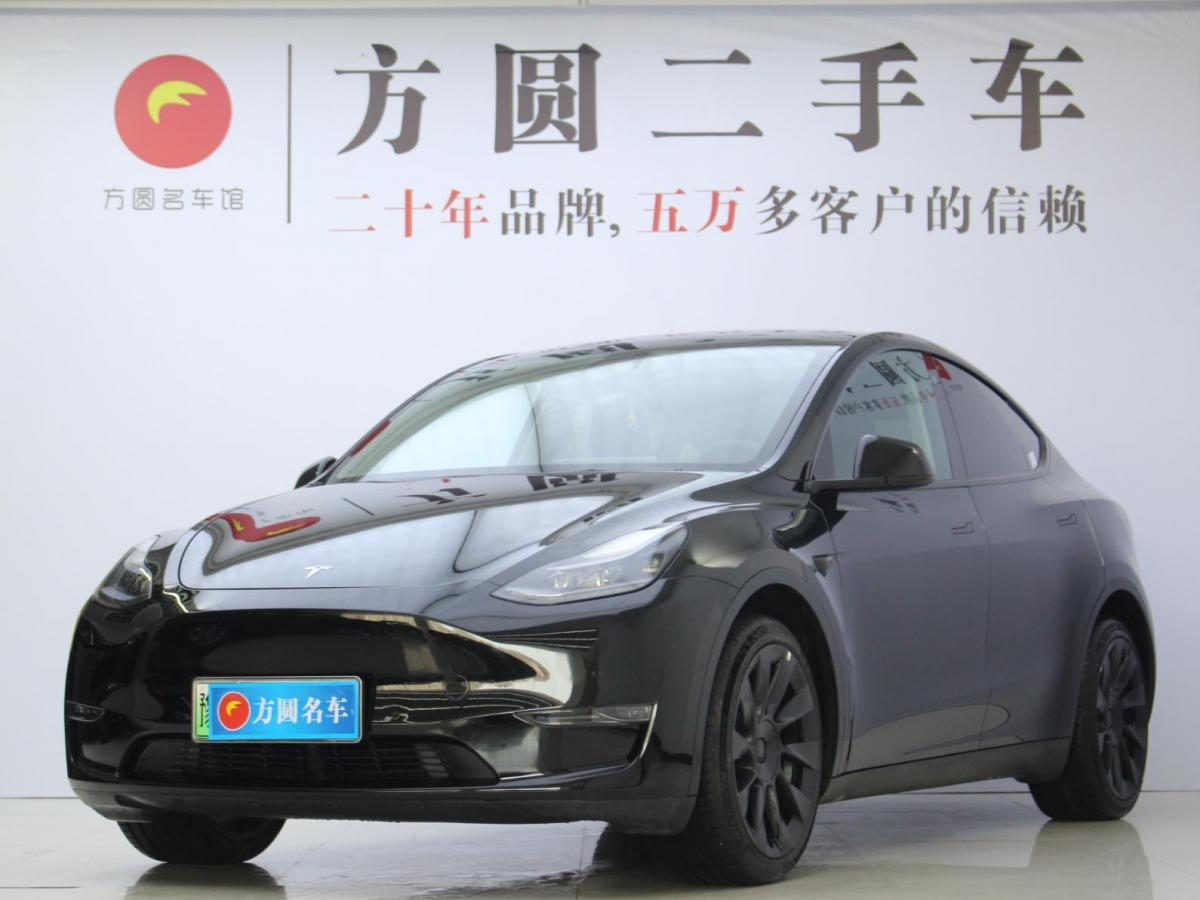 【郑州】2021年3月 特斯拉 model y 2020款 长续航后轮驱动版 自动档