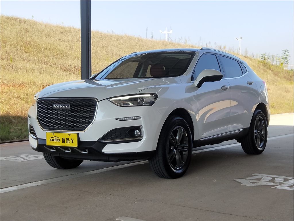 株洲2019年01月哈弗f52018款15ti潮白色手动挡