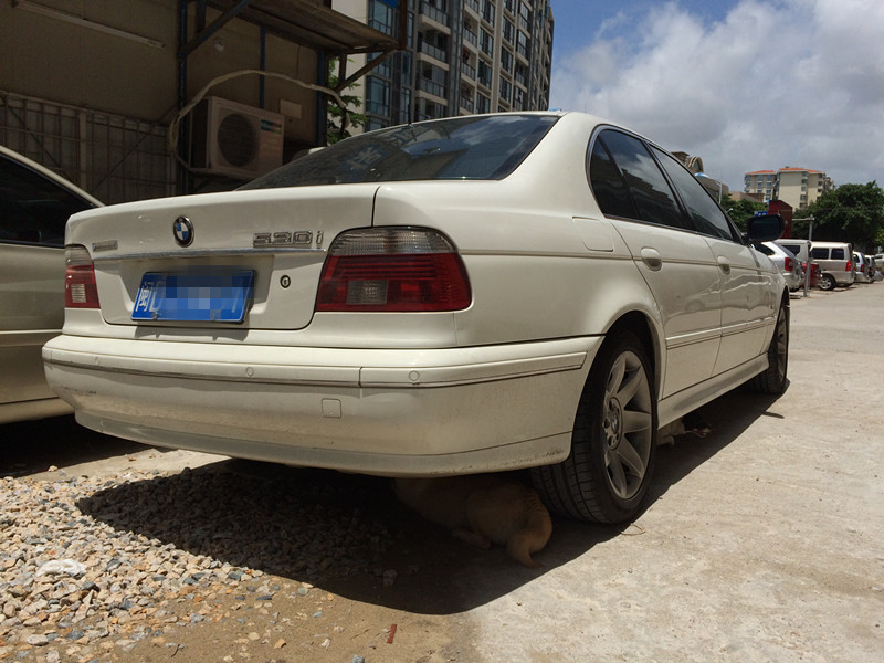 【厦门】2003年7月 宝马 宝马5系 530i 白色 自动档