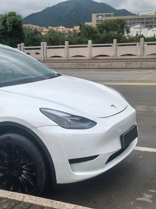 特斯拉 Model Y  2021款 改款 標(biāo)準(zhǔn)續(xù)航后驅(qū)升級(jí)版圖片