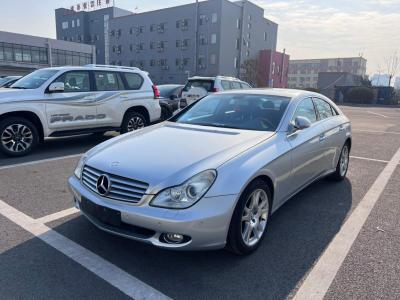 2007年8月 奔馳 奔馳CLS級(進口) CLS 350圖片