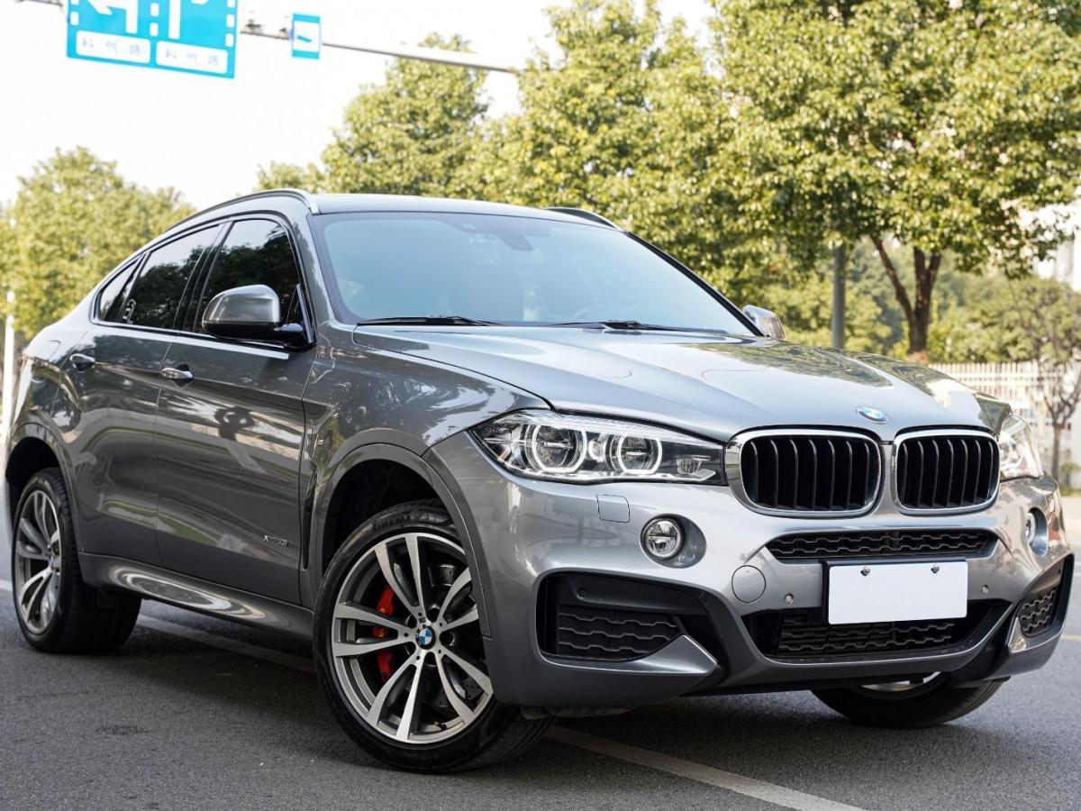 宝马 宝马x6  2019款 xdrive35i尊享型 m运动套装图片