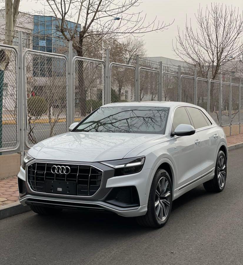 天津2020年9月奥迪奥迪q82019款45tfsi甄选动感型白色手自一体