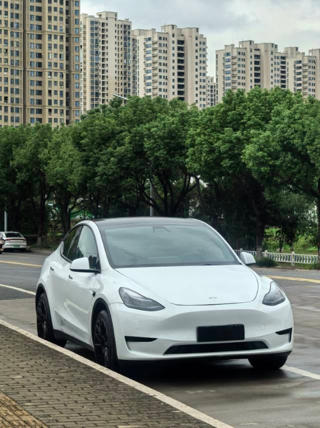 特斯拉 Model Y  2021款 改款 標(biāo)準(zhǔn)續(xù)航后驅(qū)升級(jí)版圖片