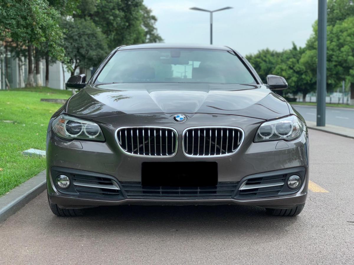 【成都】2014年1月 宝马 宝马5系 2014款 530li 领先型 自动档