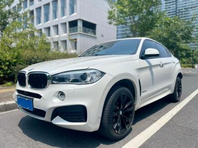 2019年2月 宝马 宝马X6(进口) xDrive35i M运动套装图片