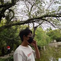 個人頭像