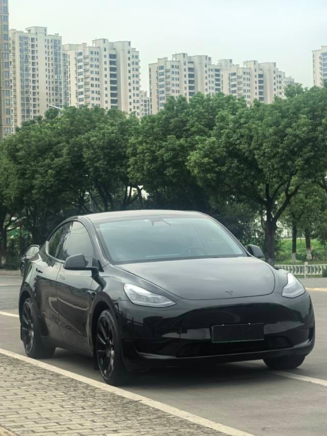 特斯拉 Model Y  2021款 標準續(xù)航后驅(qū)升級版 3D6圖片