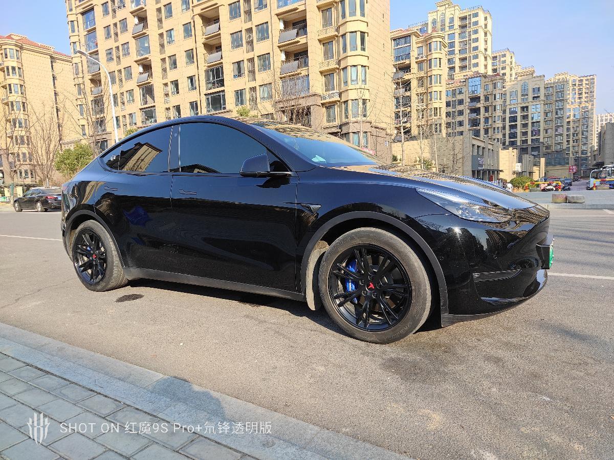 特斯拉 Model Y  2021款 標(biāo)準(zhǔn)續(xù)航后驅(qū)版圖片