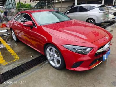 奔馳CLS級 奔馳 CLS 300 動感型
