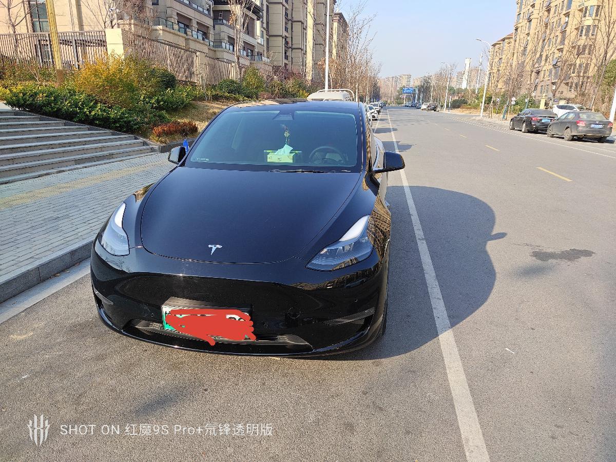 特斯拉 Model Y  2021款 標(biāo)準(zhǔn)續(xù)航后驅(qū)版圖片