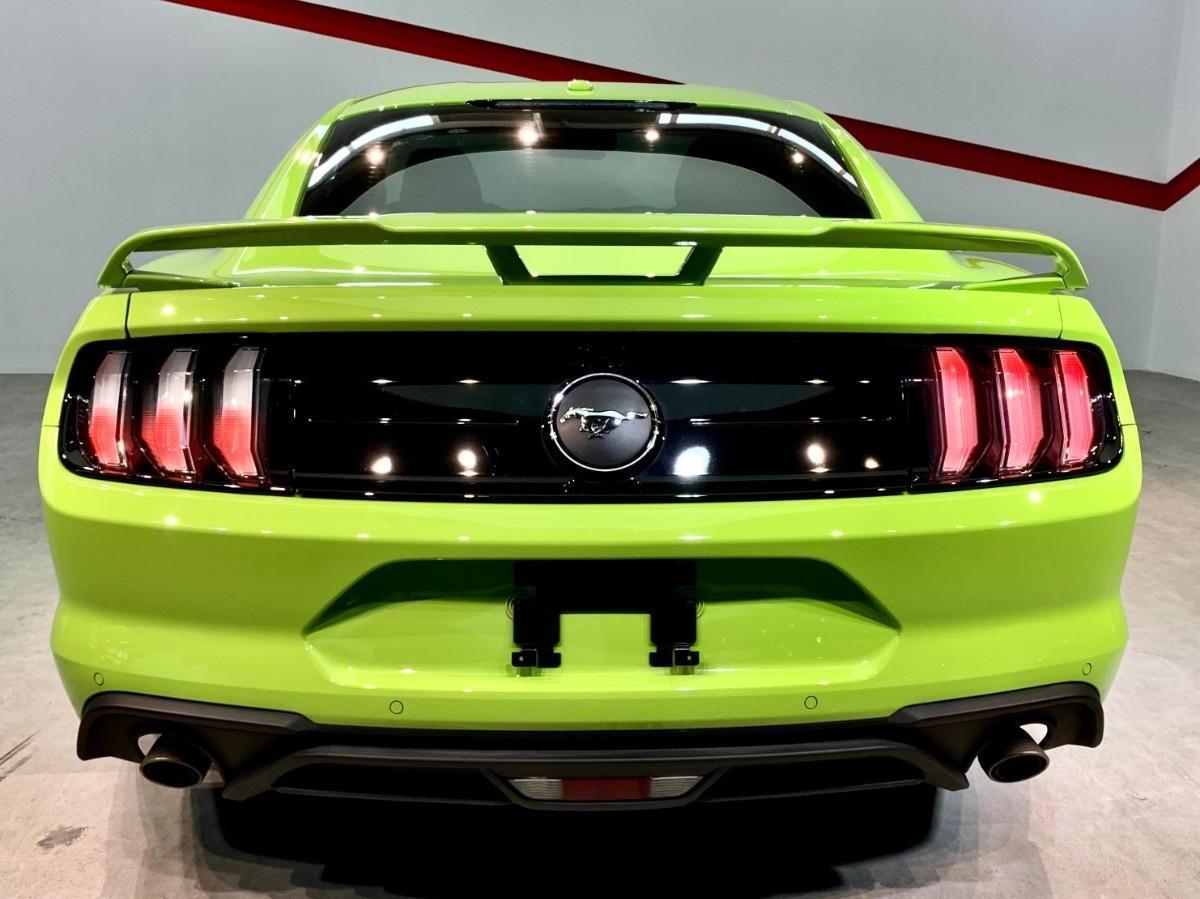 野马mustang 2020款 图片