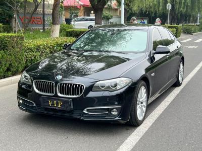 寶馬5系 寶馬 525Li 豪華設(shè)計(jì)套裝