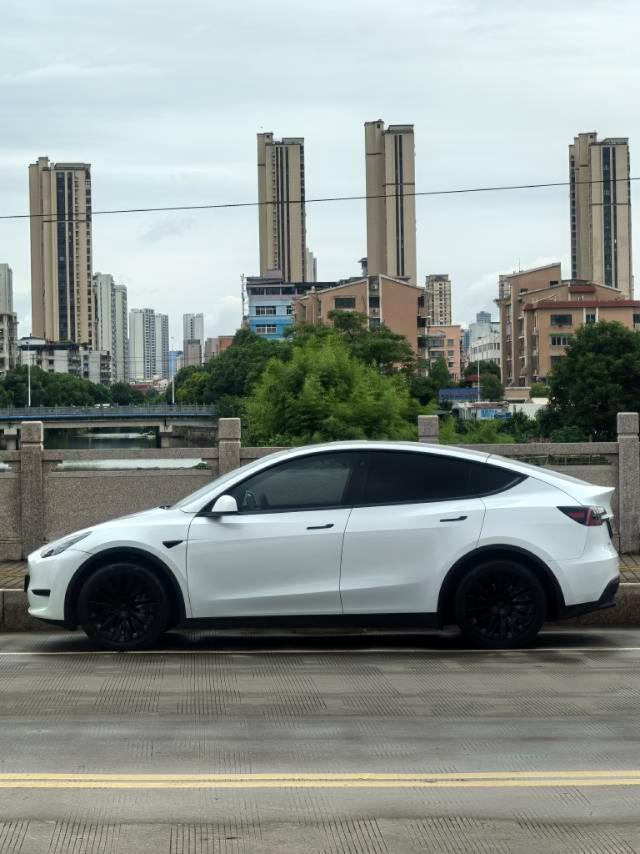 特斯拉 Model Y  2021款 改款 標(biāo)準(zhǔn)續(xù)航后驅(qū)升級(jí)版圖片