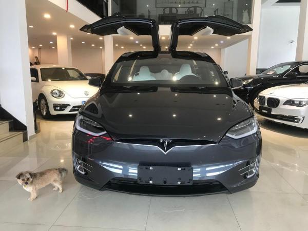特斯拉 Model X  2019款 Performance 高性能版