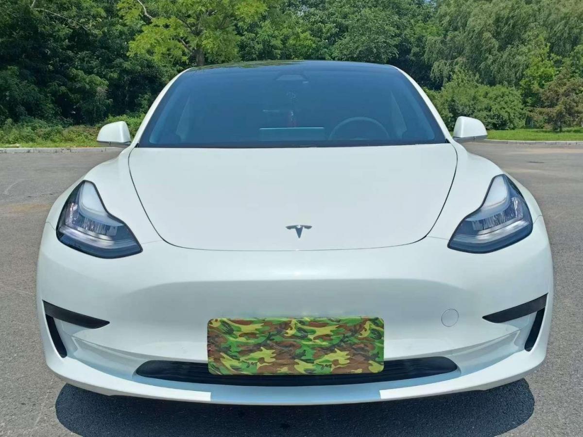 大連2019年6月特斯拉model32019款標準續航後驅升級版白色自動檔