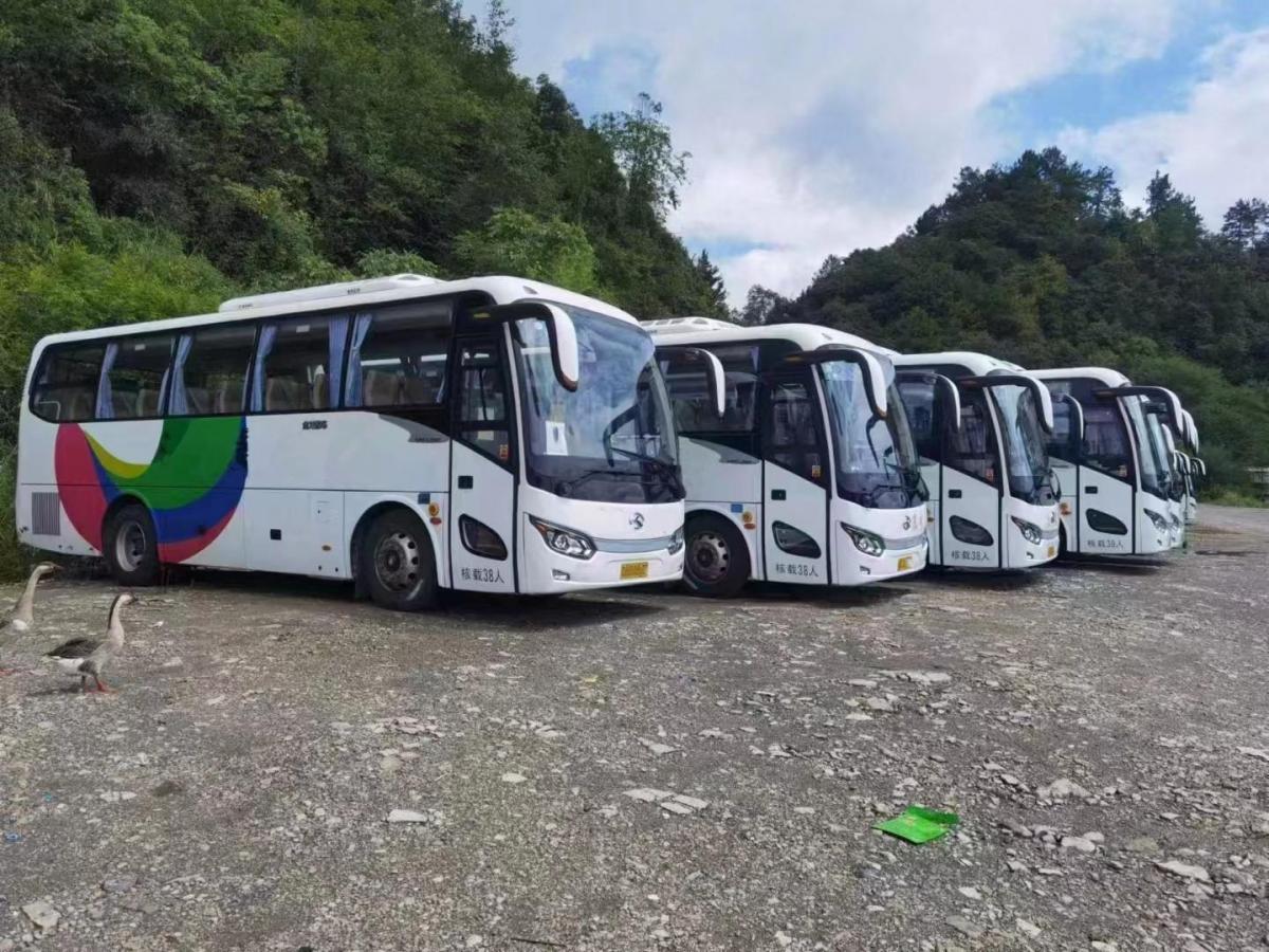 同款10台38座国五带营运档案金龙6898气囊旅游车图片