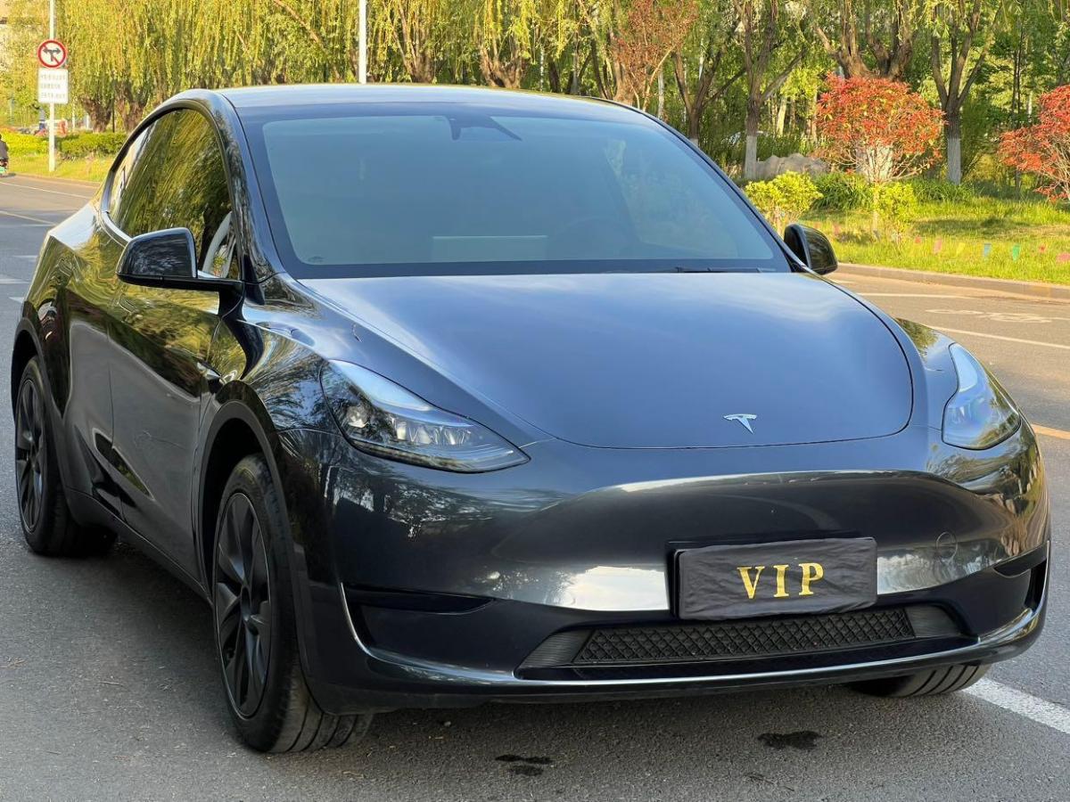 特斯拉 Model Y  2024款 后輪驅(qū)動版圖片