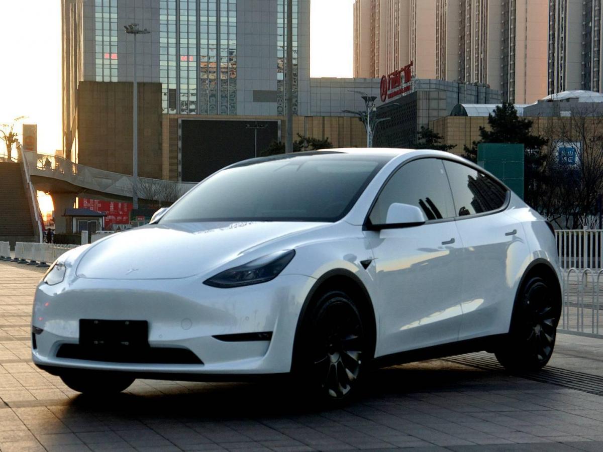 特斯拉 model y 2022款 performance高性能全輪驅動版圖片