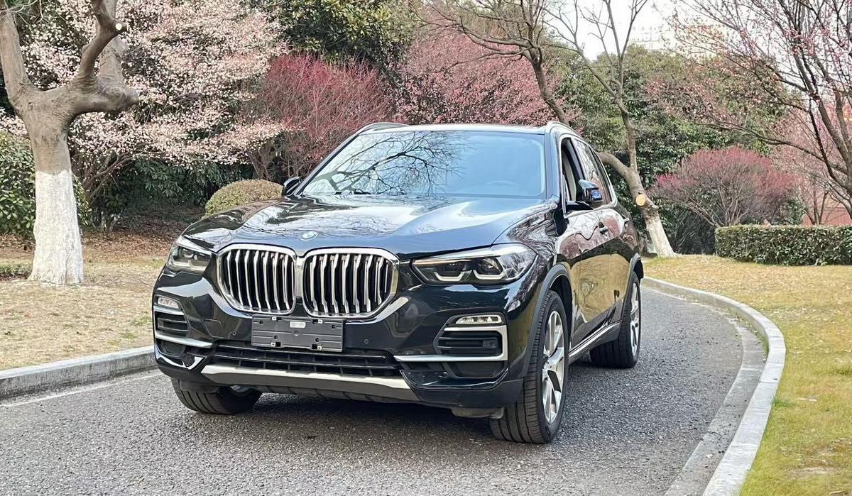 寶馬 寶馬X5  2022款 改款 xDrive 30Li M運動套裝圖片
