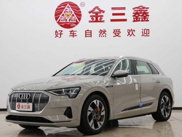 奥迪 奥迪e-tron  2019款 55 quattro 时尚型