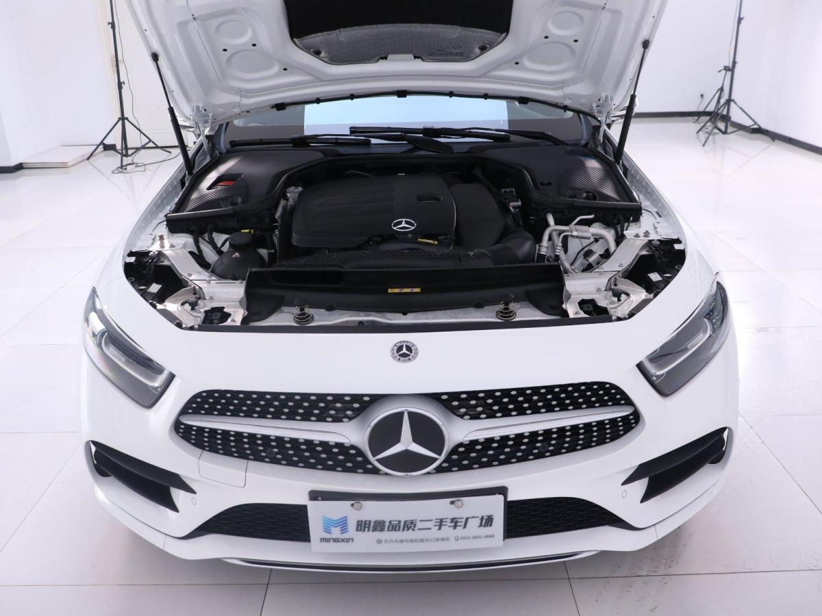 奔驰 奔驰cls级  2020款 cls 300 动感型图片
