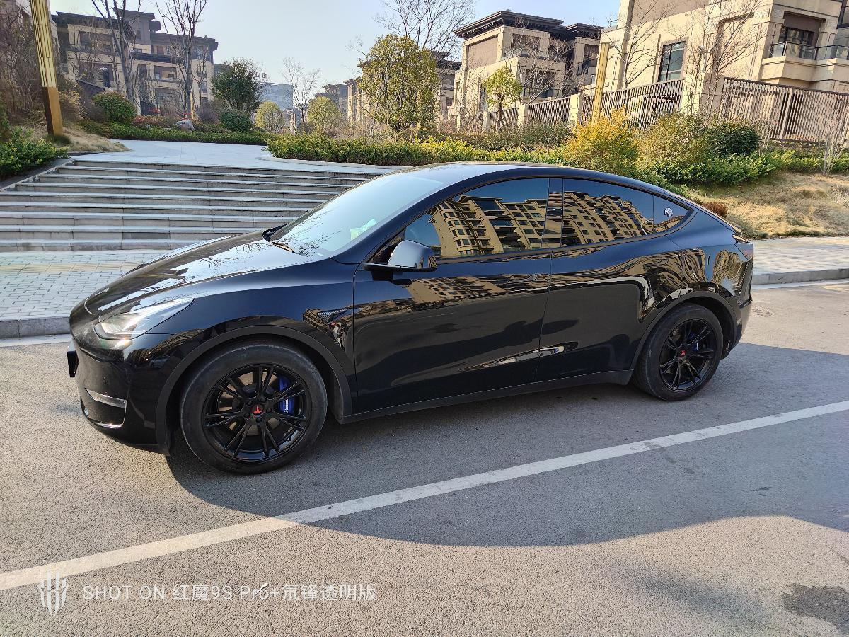 特斯拉 Model Y  2021款 標(biāo)準(zhǔn)續(xù)航后驅(qū)版圖片