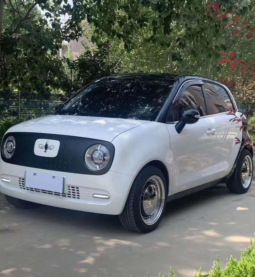 上海2019年4月欧拉r1白色自动档