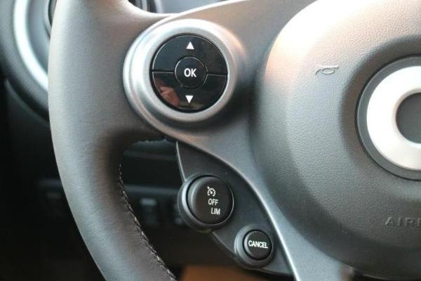 2017年1月smartfortwo2017款10l硬顶激情版