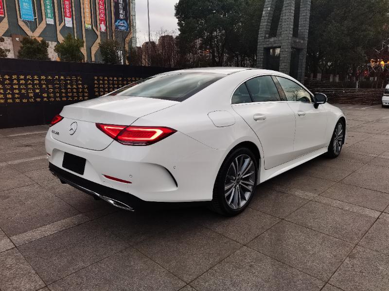 2020年5月奔馳 奔馳cls級 2020款 cls 300 動感型