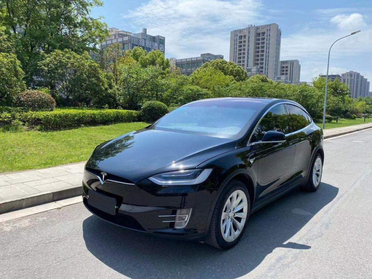 特斯拉 model x 2020款 长续航升级版图片